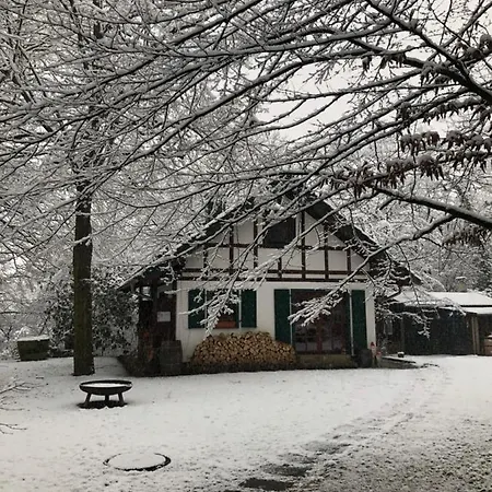 Haus Am Wald Apartment
