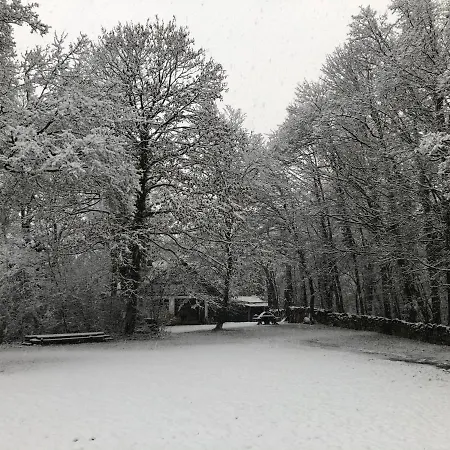 Haus Am Wald Apartment