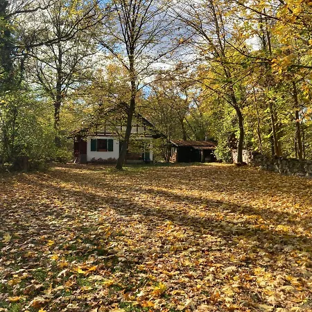 Apartment Haus Am Wald *