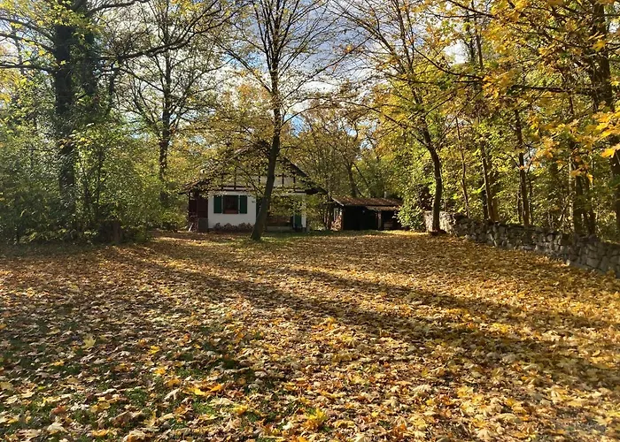 Daire Haus Am Wald *